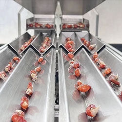  Application of counting packaging machine in frozen food industry