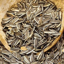  How to choose a good counting packaging machine for granular materials such as sunflower seeds?