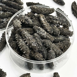  How to choose a good packaging machine for dried seafood such as sea cucumber?